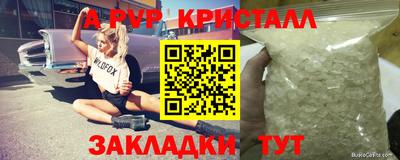 индика Пушкино