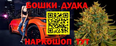 индика Пушкино