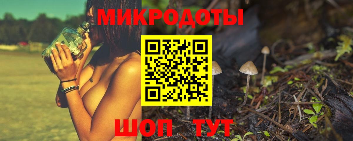 Сухой Лог  Псилоцибиновые грибы прущие грибы  Вход с VPN 